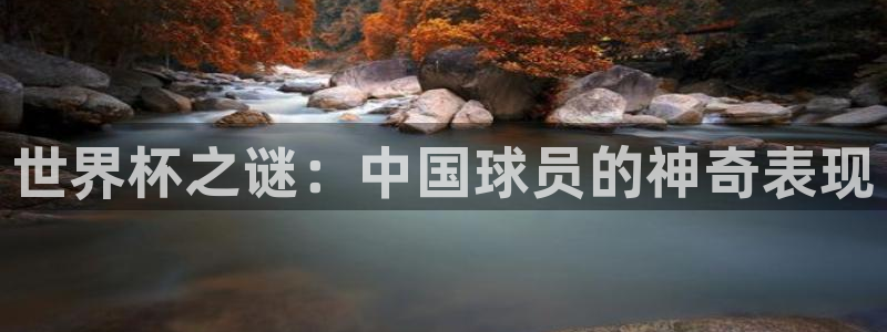 2026世预赛赛程：世界杯之谜：中国球员的神奇表现