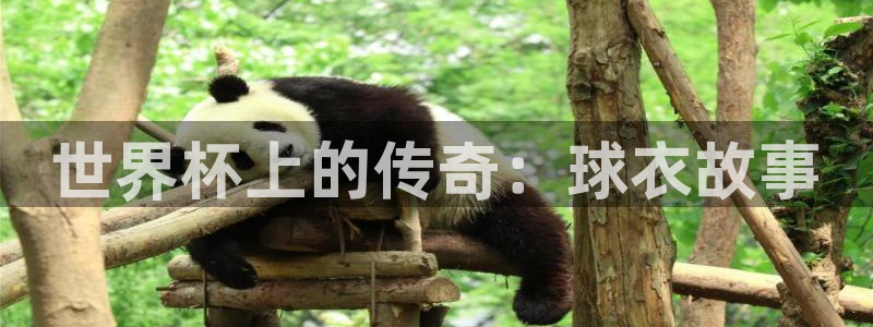 2026年世界杯直播平台：世界杯上的传奇：球衣故事
