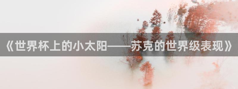 2026世预赛全部赛程：《世界杯上的小太阳——苏克的世界级表现》