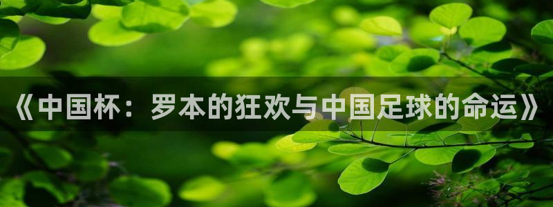 世界杯足球直播：《中国杯：罗本的狂欢与中国足球的命运》