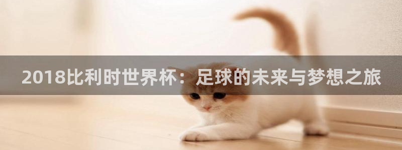 世界杯2026赛程：2018比利时世界杯：足球的未来与梦想之旅