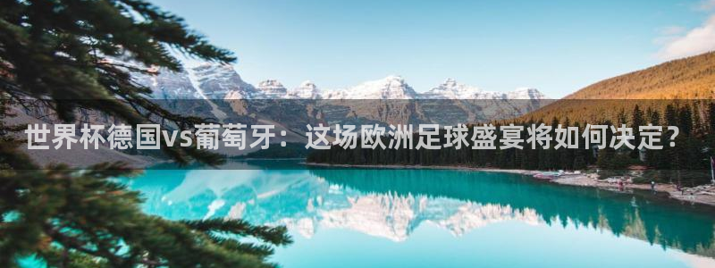 世界杯欧洲区赛程：世界杯德国vs葡萄牙：这场欧洲足球盛宴将如何决定？