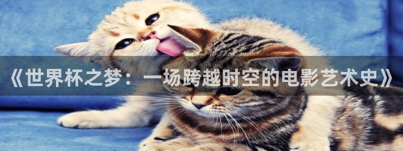 美洲杯直播：《世界杯之梦：一场跨越时空的电影艺术史》