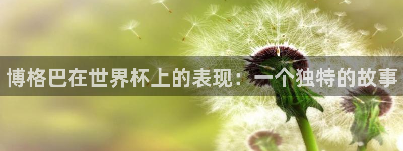 2026年世界杯赛程：博格巴在世界杯上的表现：一个独特的故事