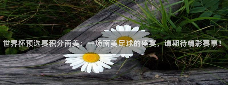 世界杯 赛程：世界杯预选赛积分南美：一场南美足球的盛宴，请期待精彩赛事！
