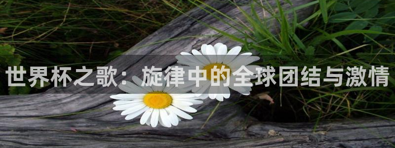 欧洲世界杯预选赛：世界杯之歌：旋律中的全球团结与激情