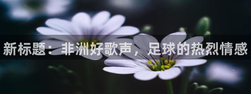 世界杯预选赛欧洲赛区赛程：新标题：非洲好歌声，足球的热烈情感