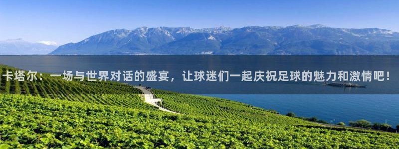 世界杯48支球队赛制：卡塔尔：一场与世界对话的盛宴，让球迷们一起庆祝足球的魅力和激情吧！