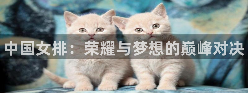 世界杯预选赛欧洲赛区积分榜：中国女排：荣耀与梦想的巅峰对决