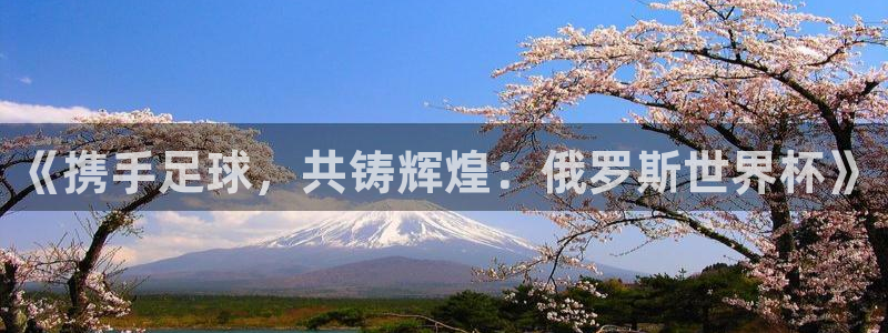 2026世界杯足球赛程时间表：《携手足球，共铸辉煌：俄罗斯世界杯》