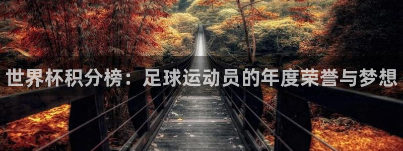 世界杯足球赛2026赛程时间：世界杯积分榜：足球运动员的年度荣誉与梦想