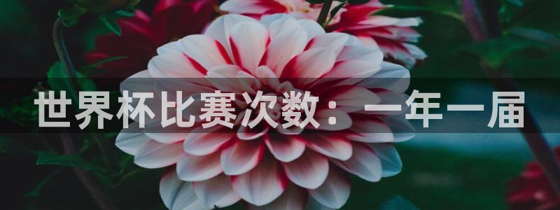 世界杯直播高清：世界杯比赛次数：一年一届